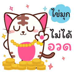 I am KaiMook (Cute Cat)