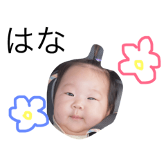 hanaaaaaaaaaaaa