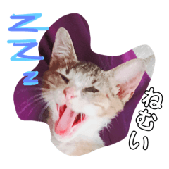 asuka_20181105194819