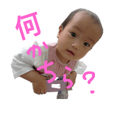 akari_20181105174415