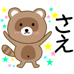 Raccoon Sae