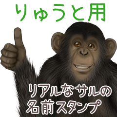 Ryuuto Monkey's real name Sticker