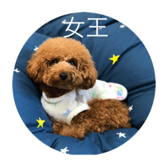 Hinata_20181105192916