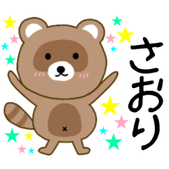 Raccoon Saori