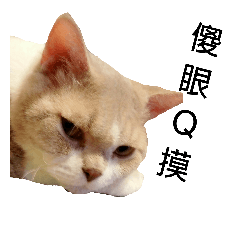 捲的日常用語