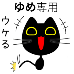 【ゆめ】専用の黒猫です