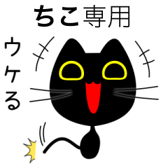 【ちこ】専用の黒猫です