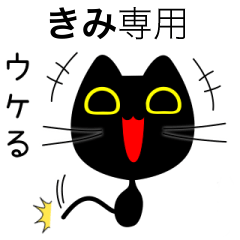【きみ】専用の黒猫です