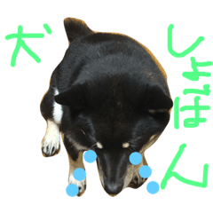 KEn_20181106220852
