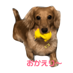 ASA_20181106152550