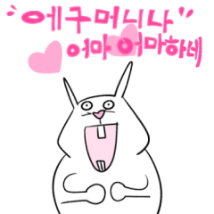 korea rabbit !!