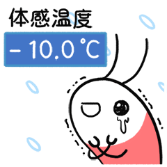 Crying shrimp - winter