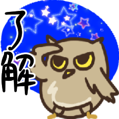 フクロウが大好き★第2弾