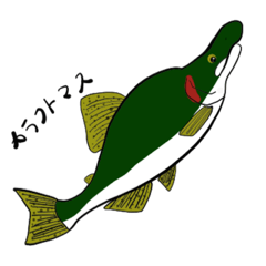 北海道の魚
