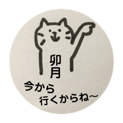 simple cat for uzuki