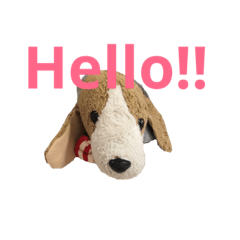 matsu_20181105084348