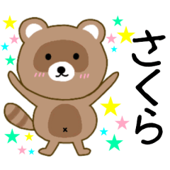 Raccoon Sakura