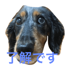 hide_20181106