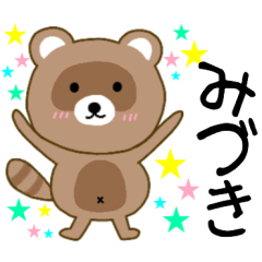 Raccoon Miduki