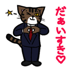 brown tabby is wearing a suit 3