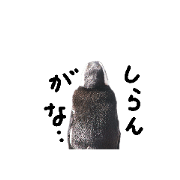 zoo-stamp