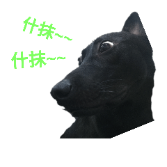 黑黑的人生