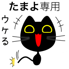 【たまよ】専用の黒猫です