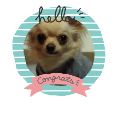 nanami_20181107181425