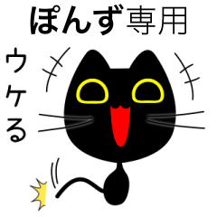 【ぽんず】専用の黒猫です