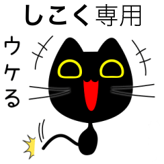 【しこく】専用の黒猫です