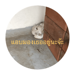 Grace_20181110181712