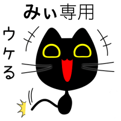 【みぃ】専用の黒猫です
