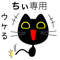 【ちぃ】専用の黒猫です