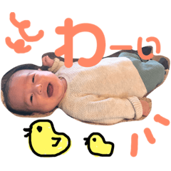 stamp of knkn
