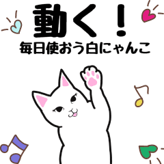 moving white cat "Shiro Nyanko"