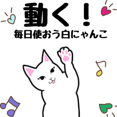 moving white cat "Shiro Nyanko"