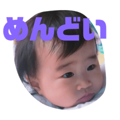 napi_20181108191017