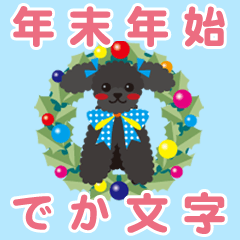 [toy poodle/Black] BIG-YEAR