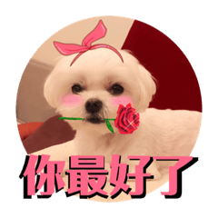 小瑪妮妮Money