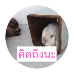 Grace_20181111163041