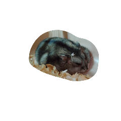 mouse Mochi