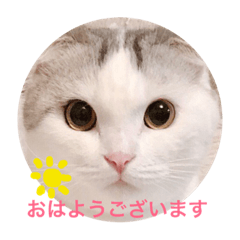 Manmaru Sasuke chin