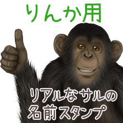 Rinka Monkey's real name Sticker