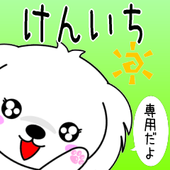 Kenichi only Cute Maltese Sticker