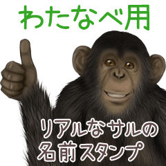 Watanabe Monkey's real name Sticker