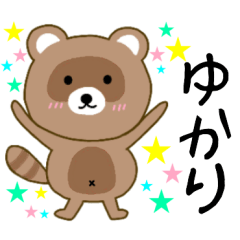 Raccoon Yukari