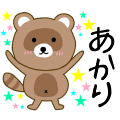 Raccoon Akari