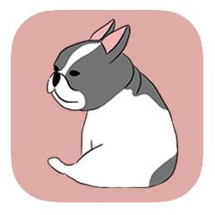 French bulldog for everyday use