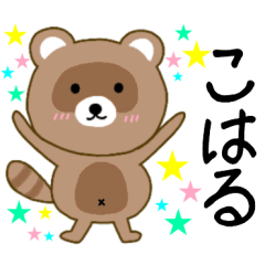 Raccoon Koharu