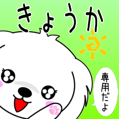 Kyouka only Cute Maltese Sticker